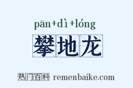 攀地龙是什么意思的图片